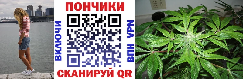 Магазины продажи наркотиков Шатура LSD-25  Псилоцибиновые грибы  ссылка на мегу рабочий сайт  ГАШИШ  Cocaine  Канабис  Alpha PVP 