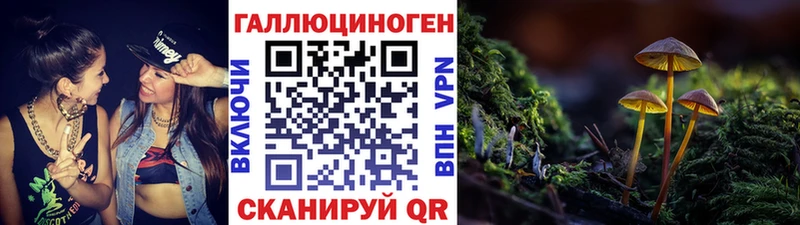 купить наркоту  Шатура  Галлюциногенные грибы Magic Shrooms 